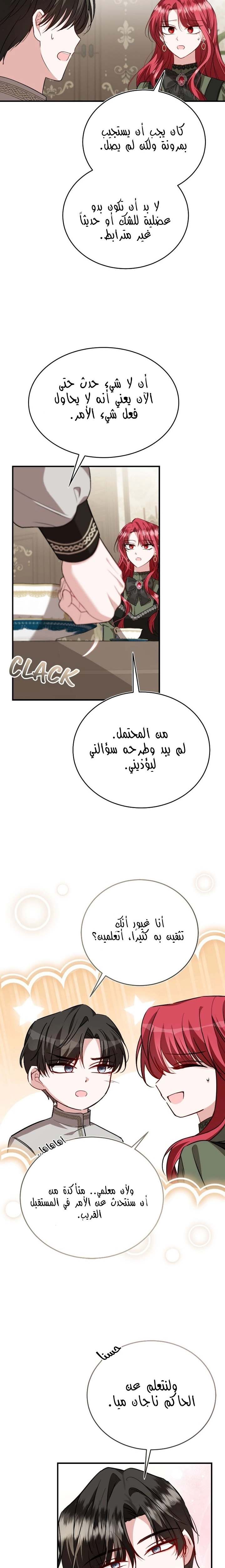 الصفحة 13