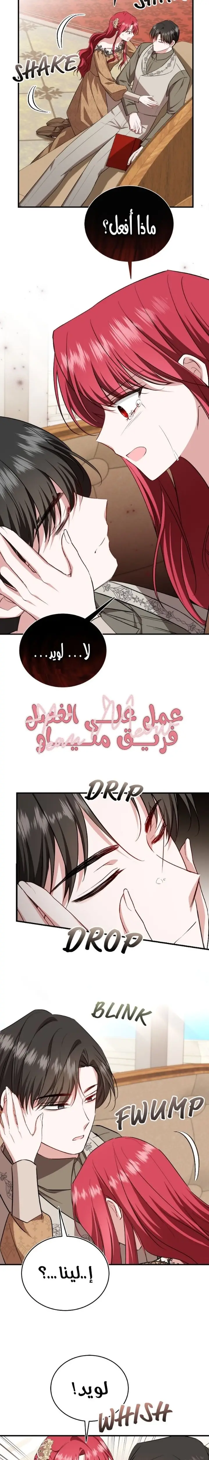 الصفحة 17
