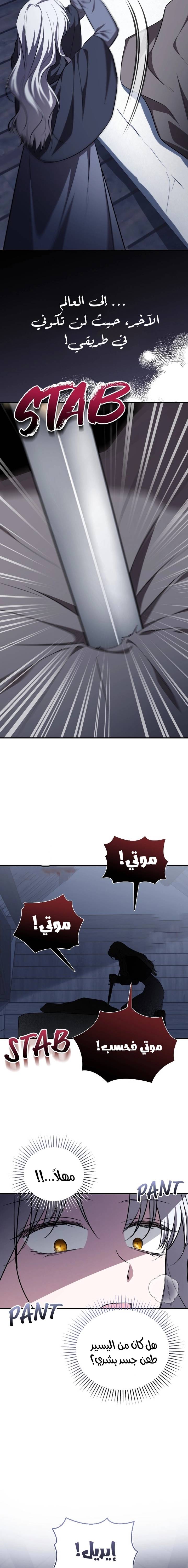 الصفحة 15