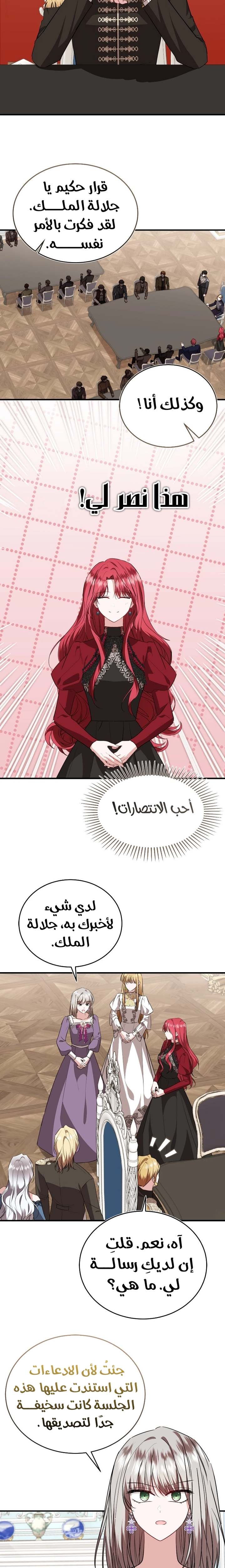 الصفحة 17
