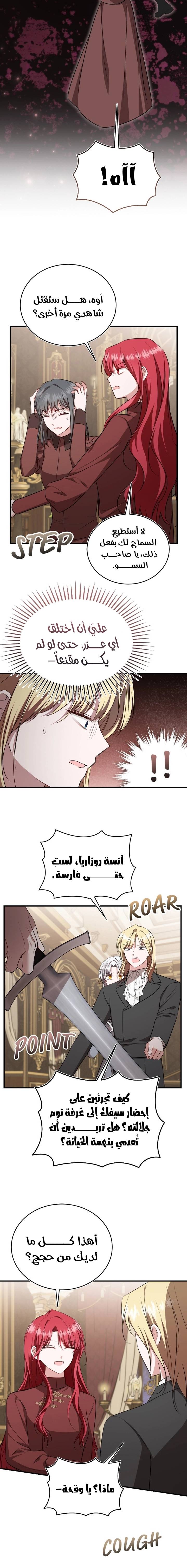 الصفحة 13