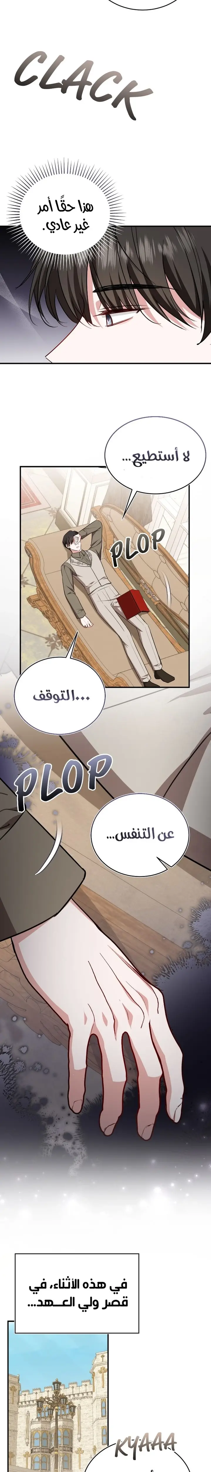 الصفحة 17