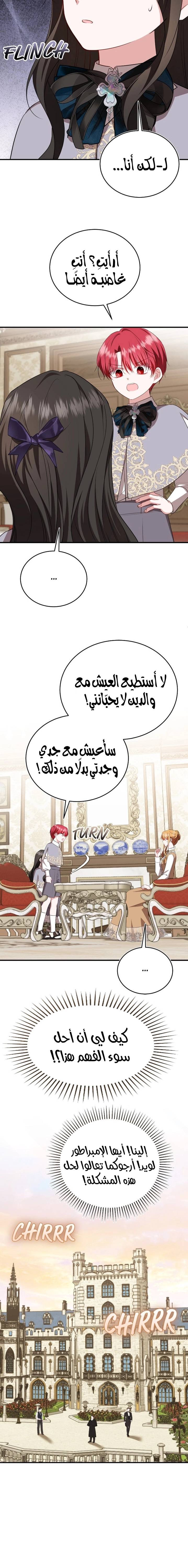 الصفحة 12