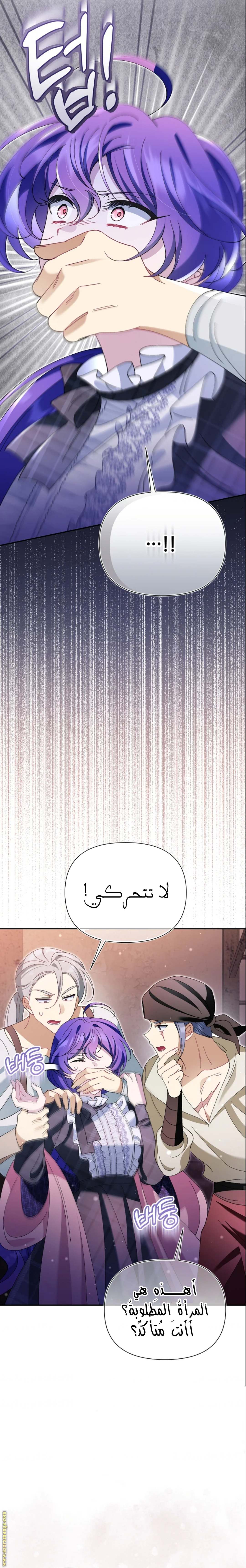 الصفحة 16