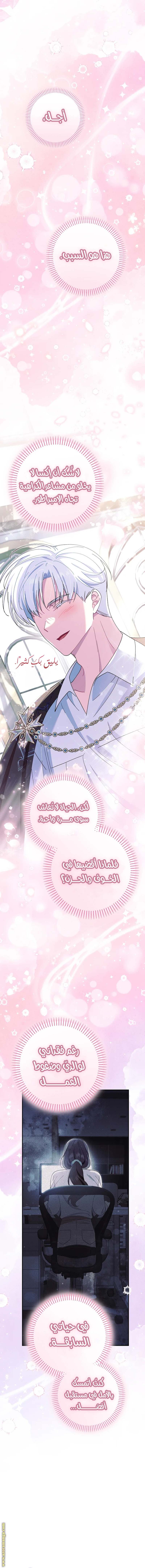 الصفحة 13
