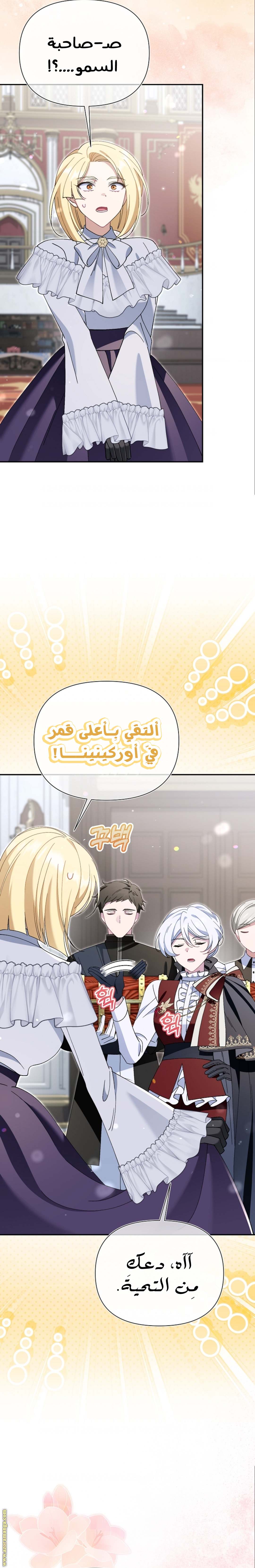 الصفحة 16