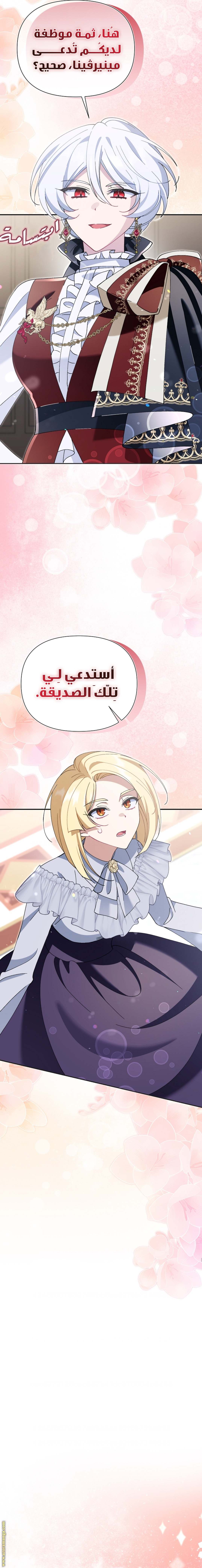 الصفحة 17