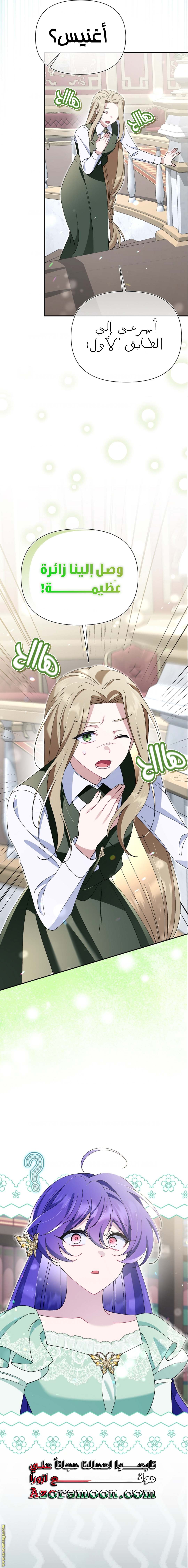 الصفحة 24