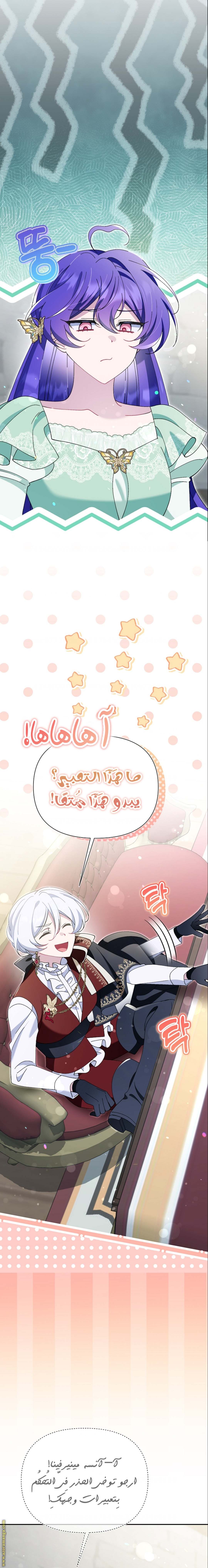 الصفحة 25