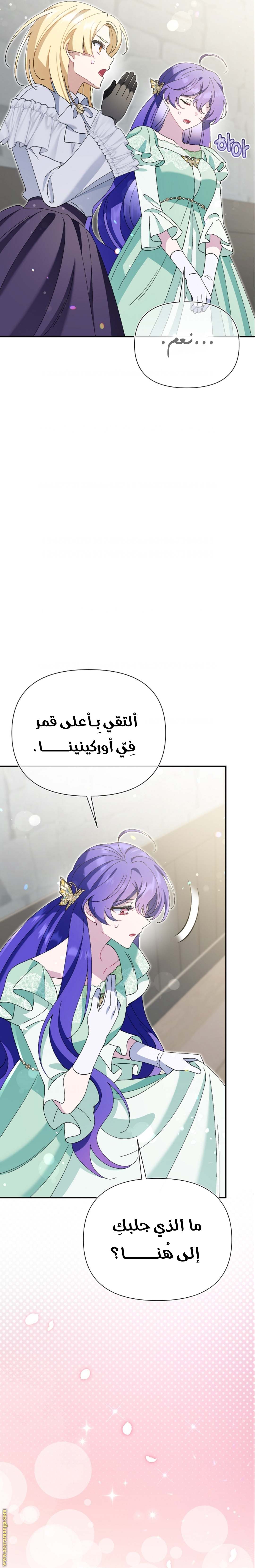 الصفحة 26