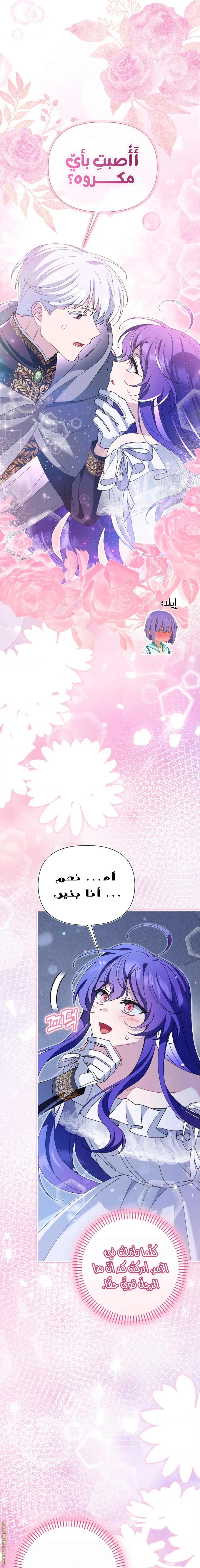 الصفحة 13