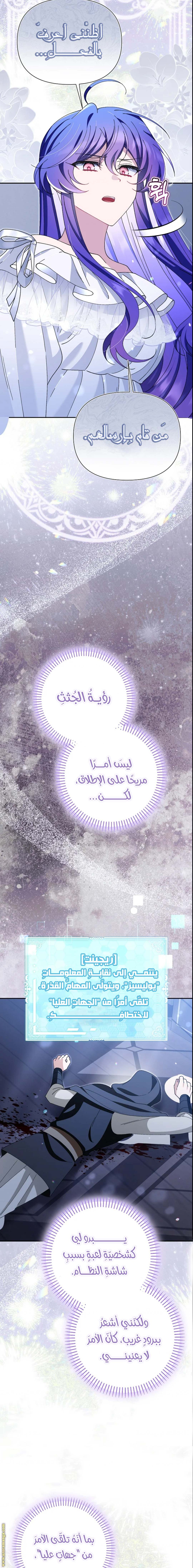 الصفحة 17