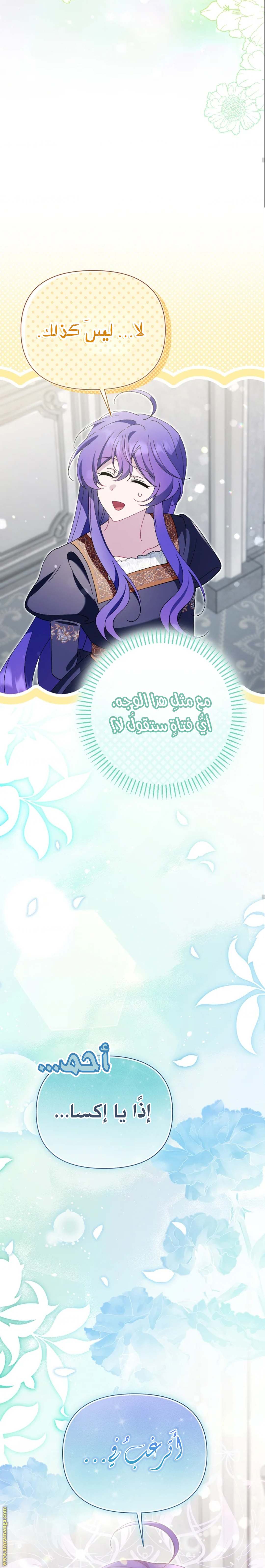 الصفحة 26