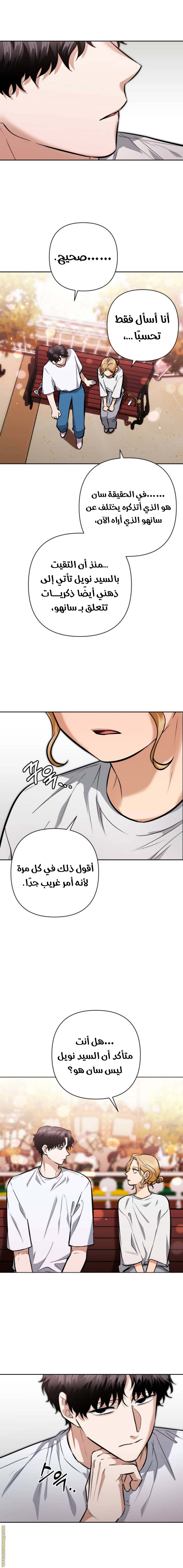 الصفحة 13