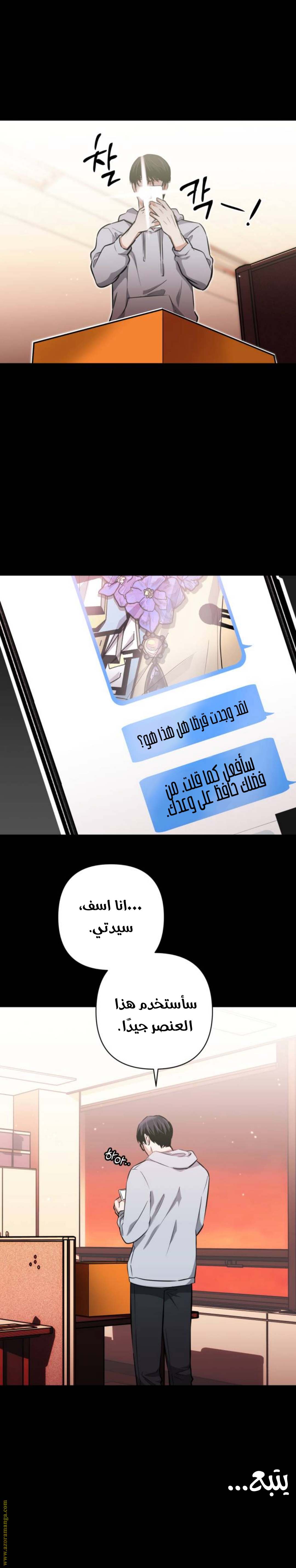 الصفحة 17