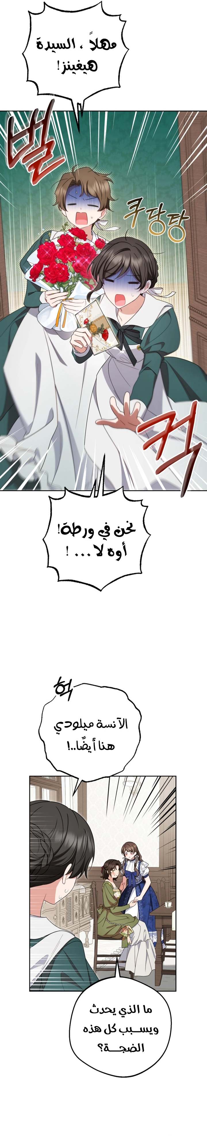الصفحة 25