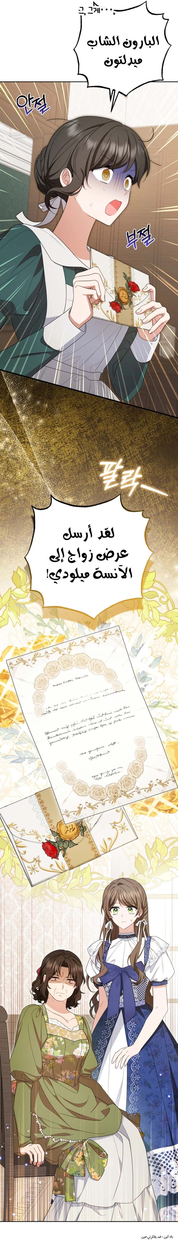 الصفحة 26