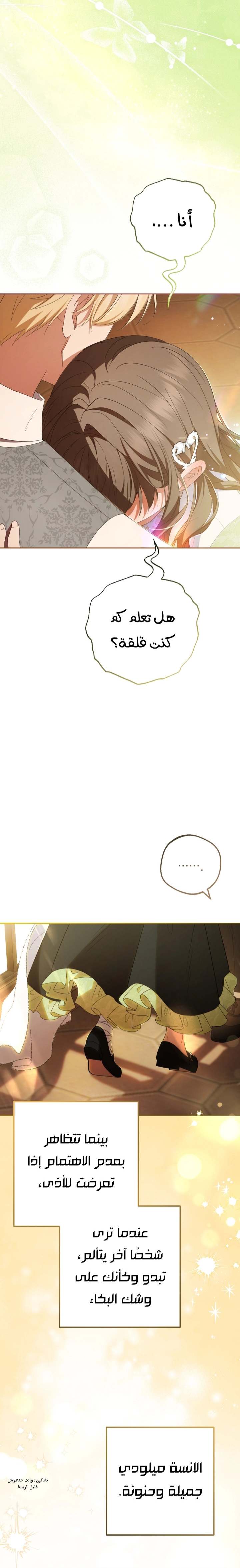 الصفحة 24