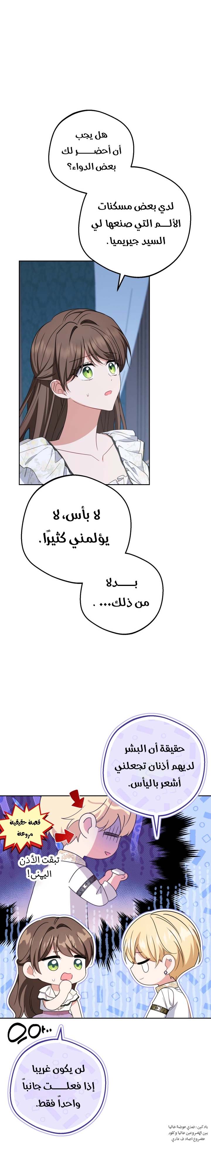 الصفحة 11