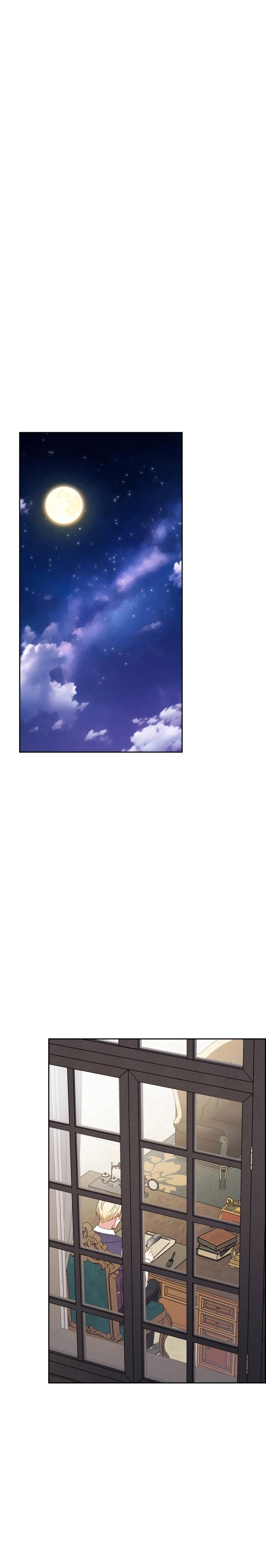 الصفحة 21