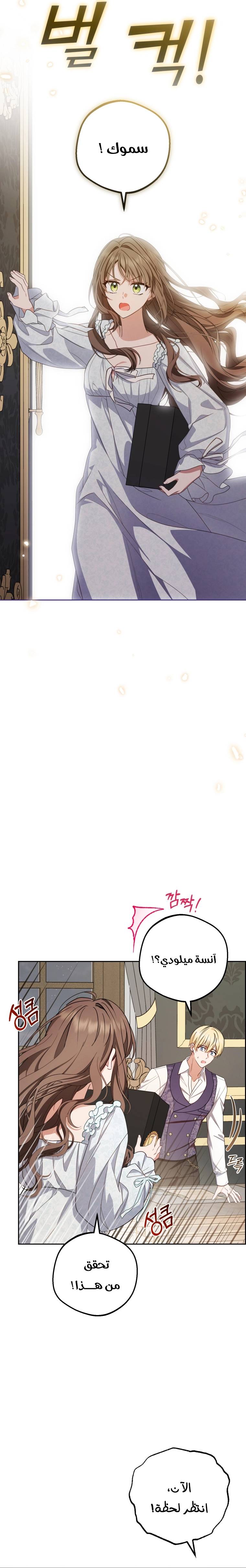 الصفحة 23