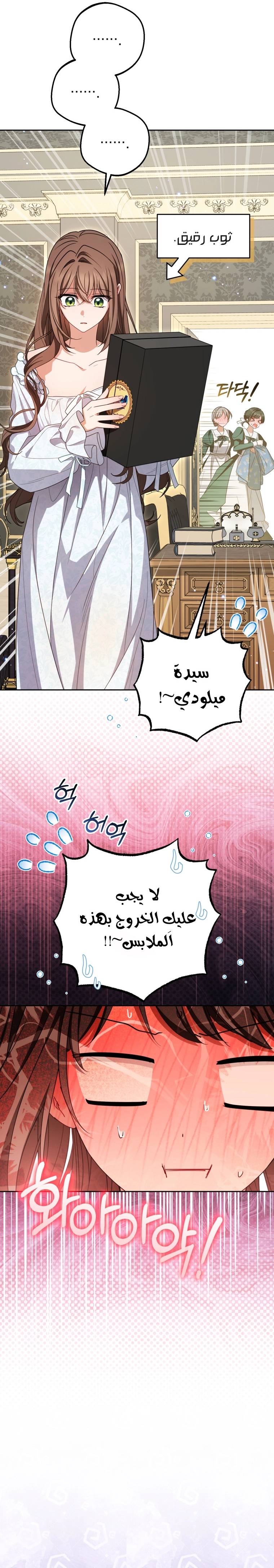 الصفحة 26
