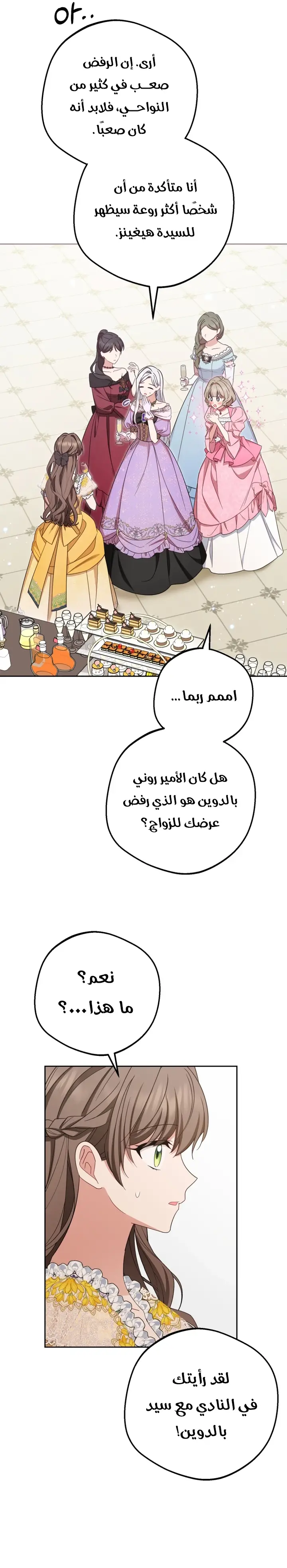 الصفحة 17