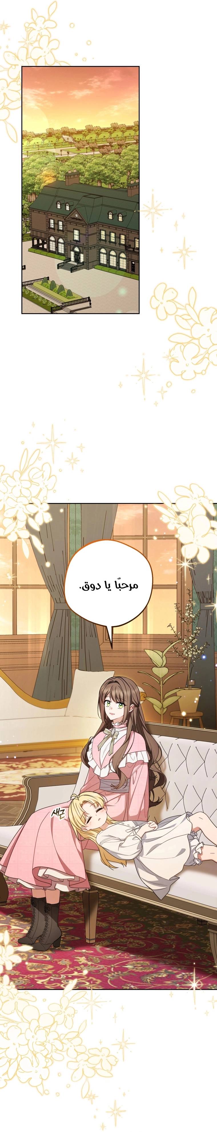 الصفحة 19