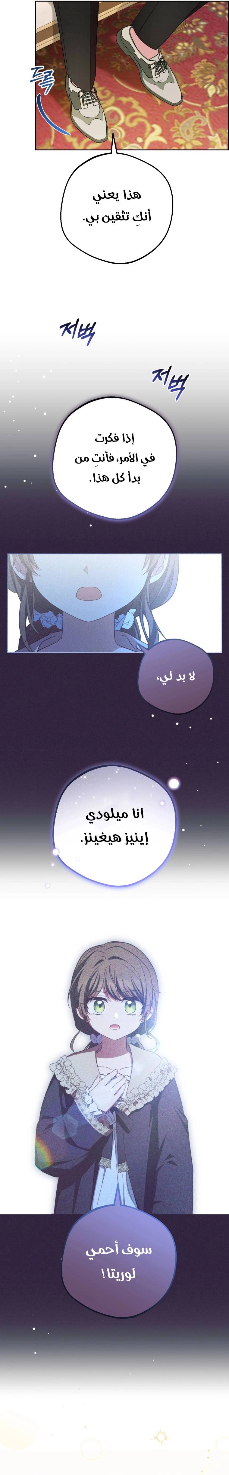 الصفحة 26