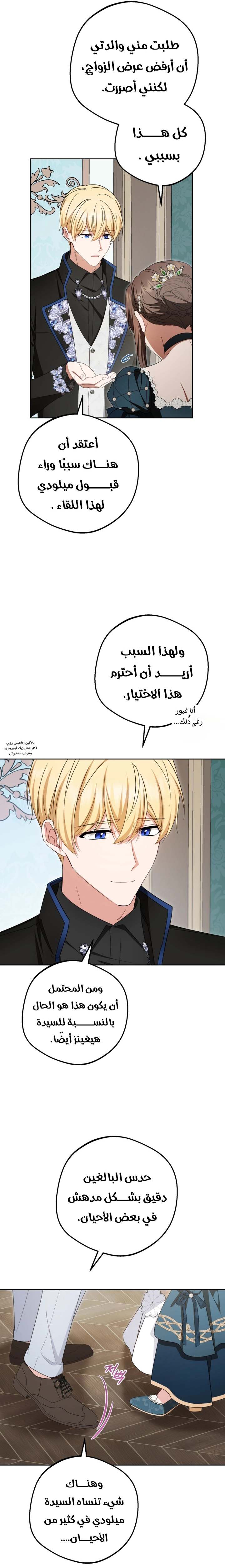 الصفحة 26