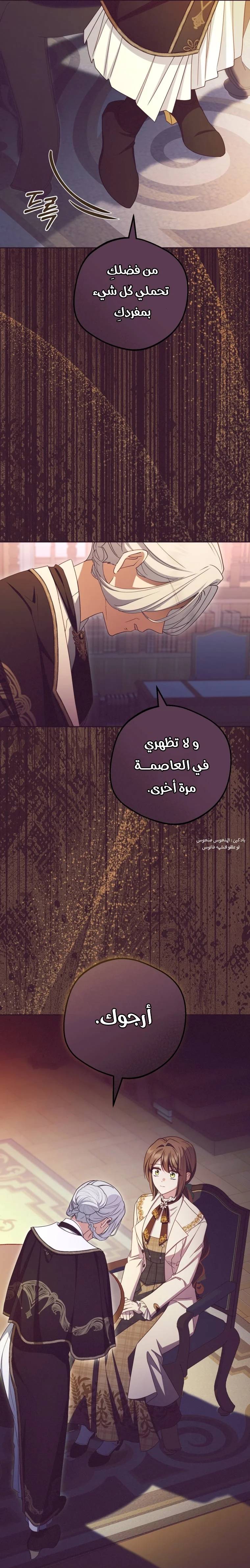 الصفحة 17