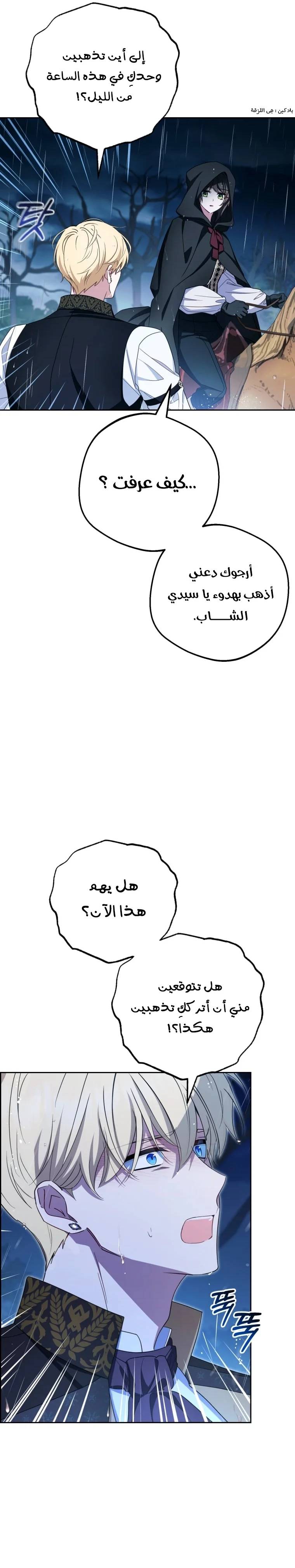 الصفحة 24