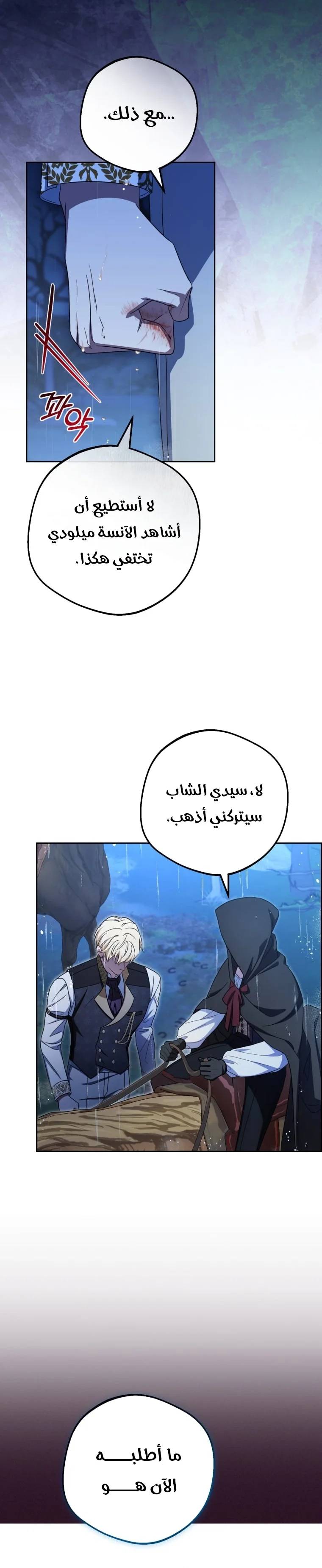 الصفحة 26