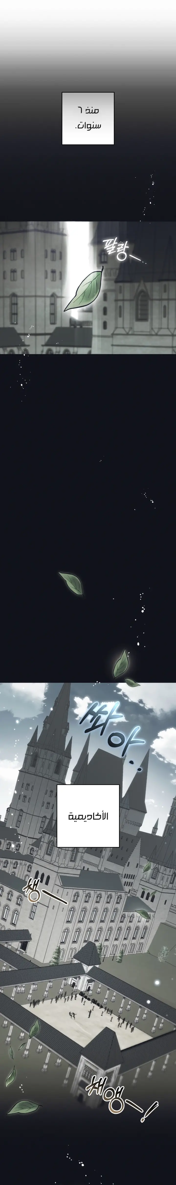 الصفحة 20
