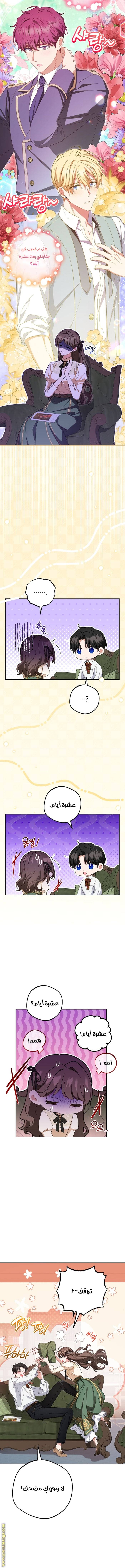 الصفحة 3