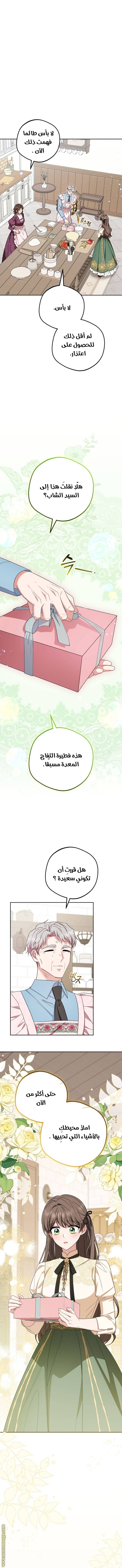الصفحة 17