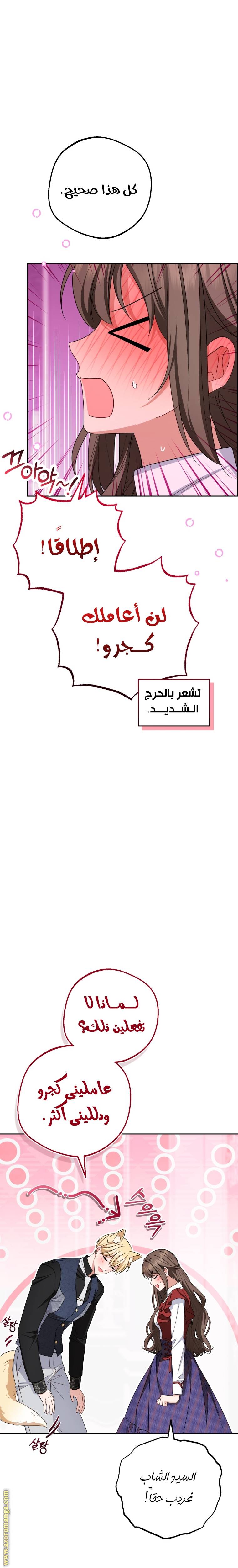 الصفحة 11