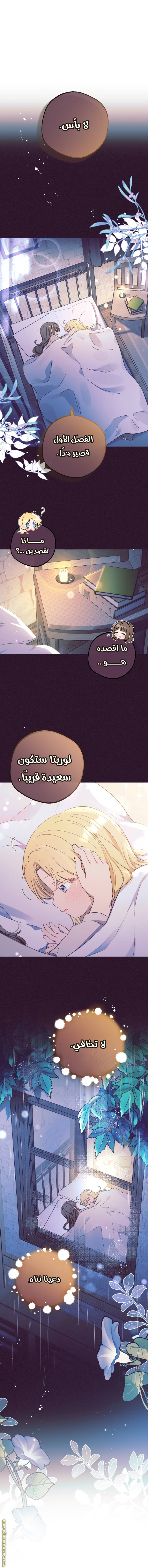 الصفحة 26
