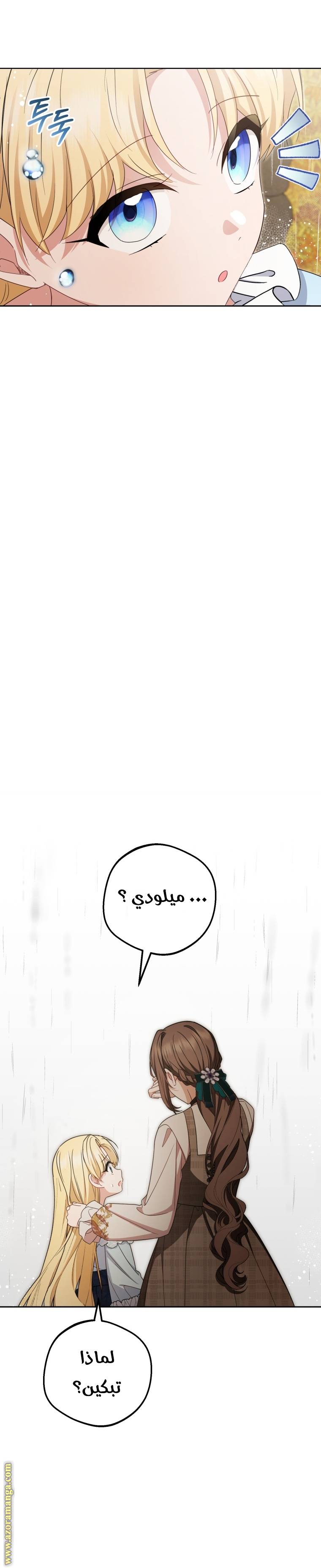 الصفحة 27