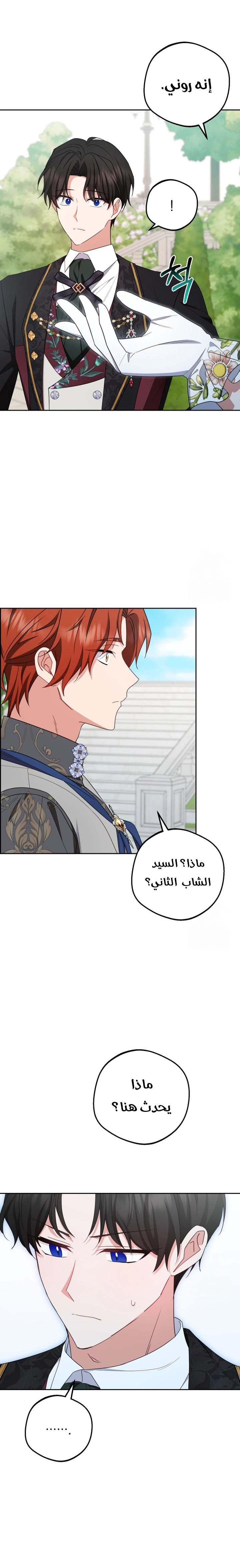 الصفحة 13
