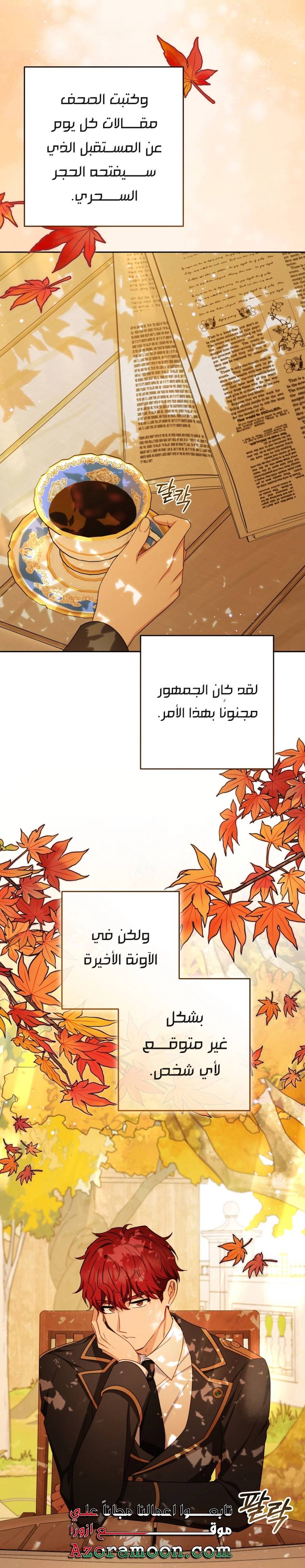 الصفحة 17