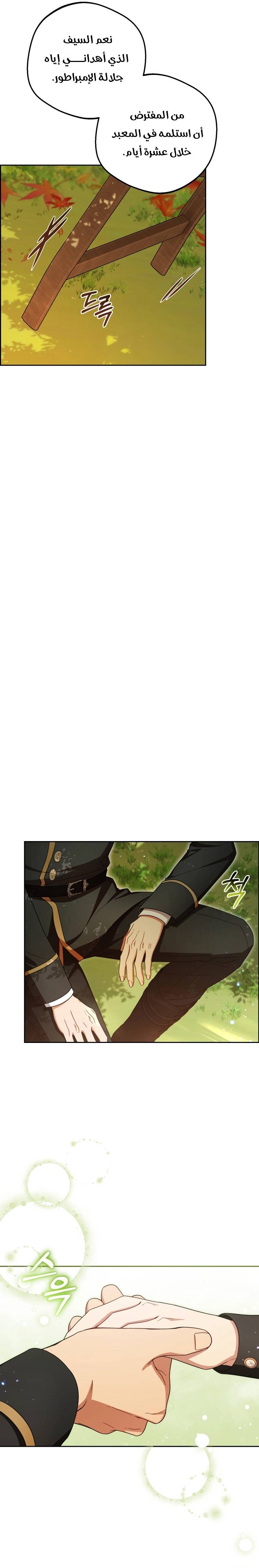 الصفحة 24