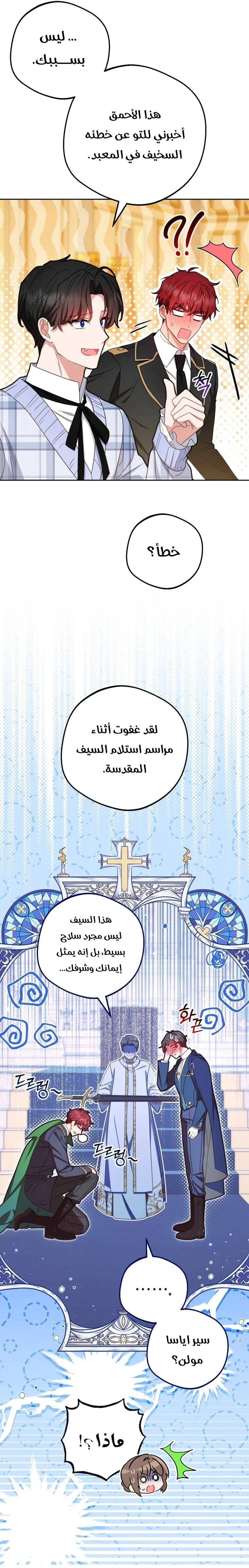 الصفحة 12
