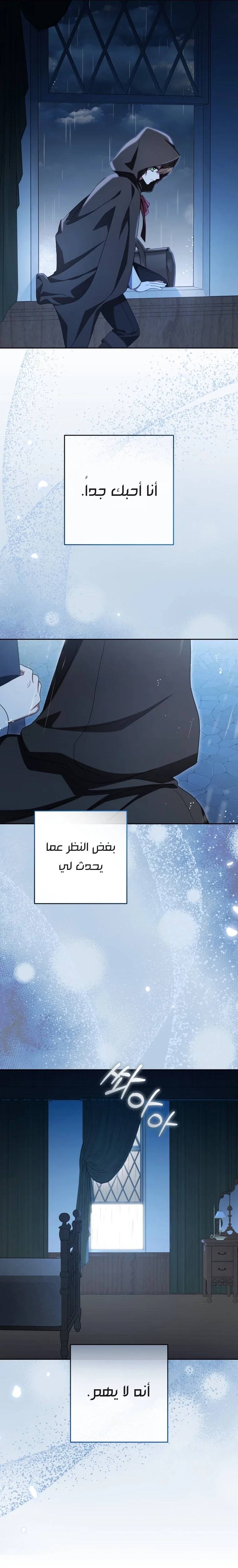 الصفحة 25