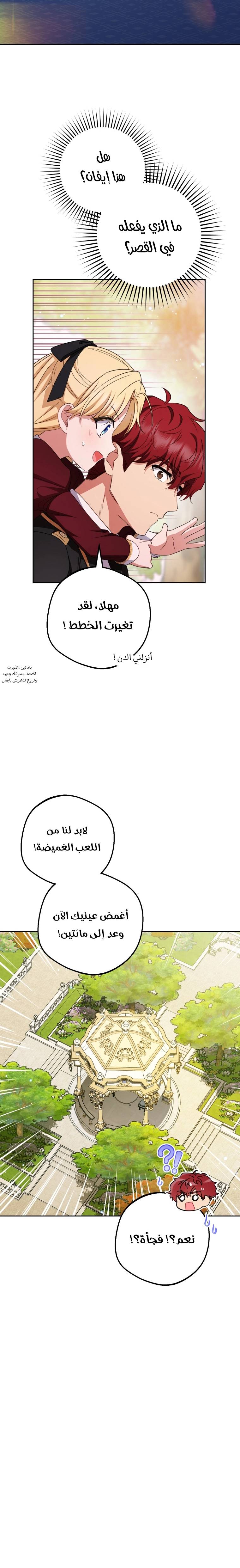 الصفحة 17