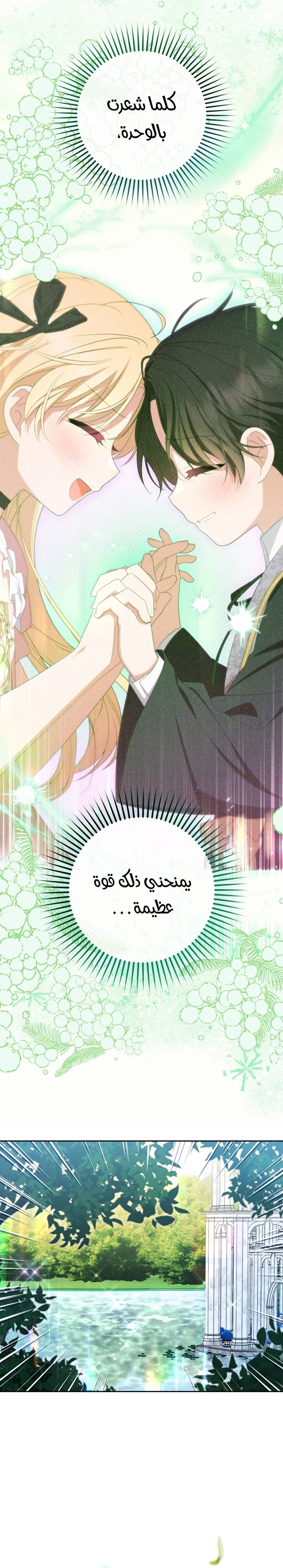 الصفحة 20