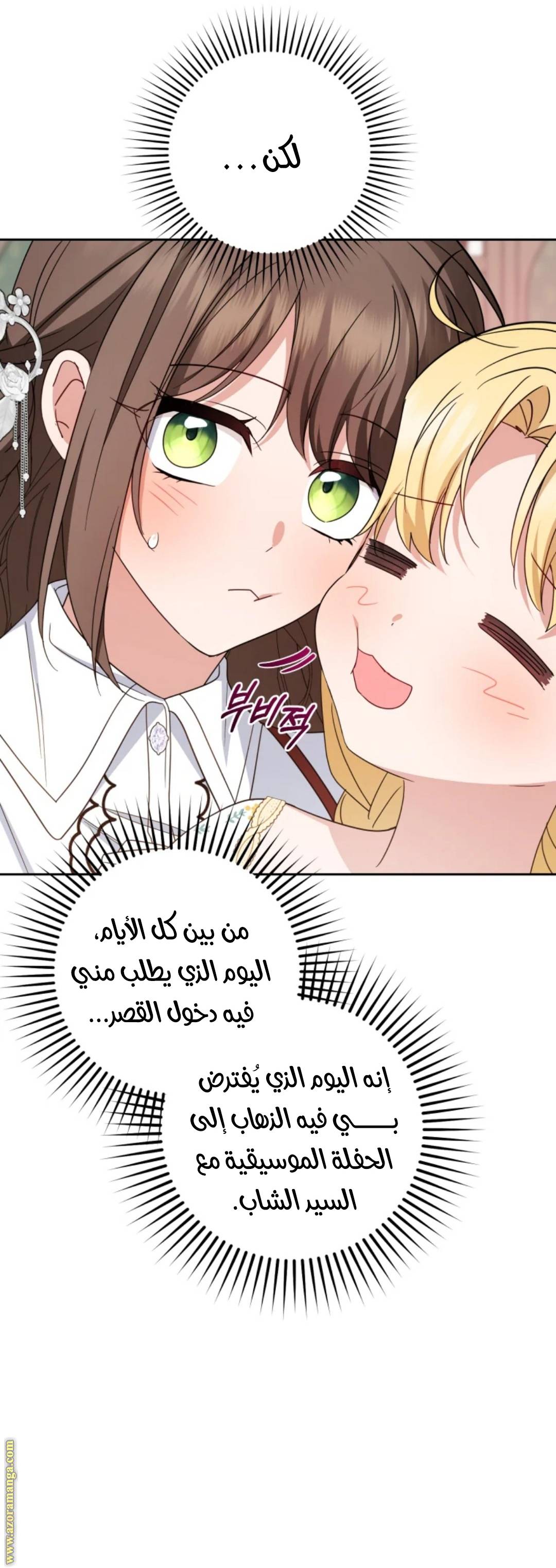الصفحة 25