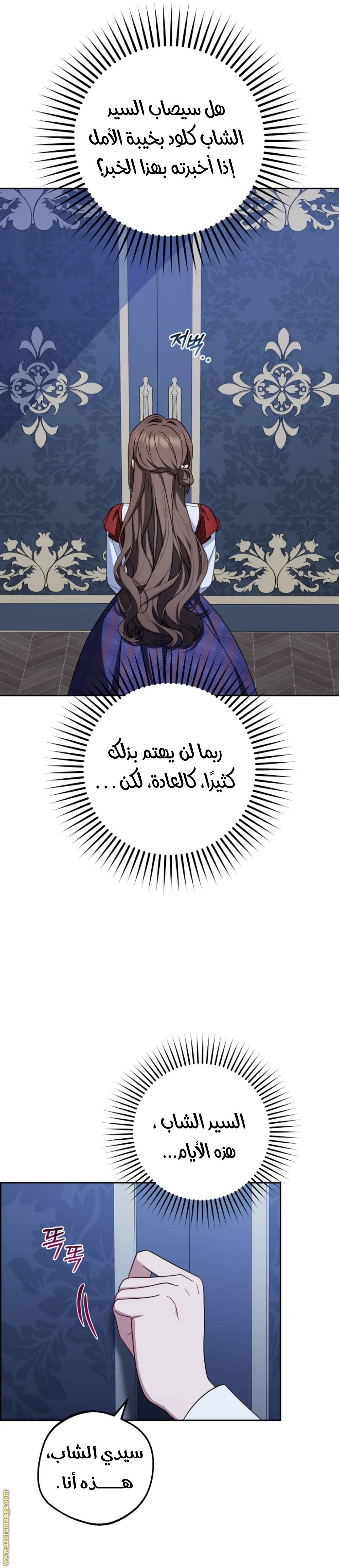 الصفحة 27