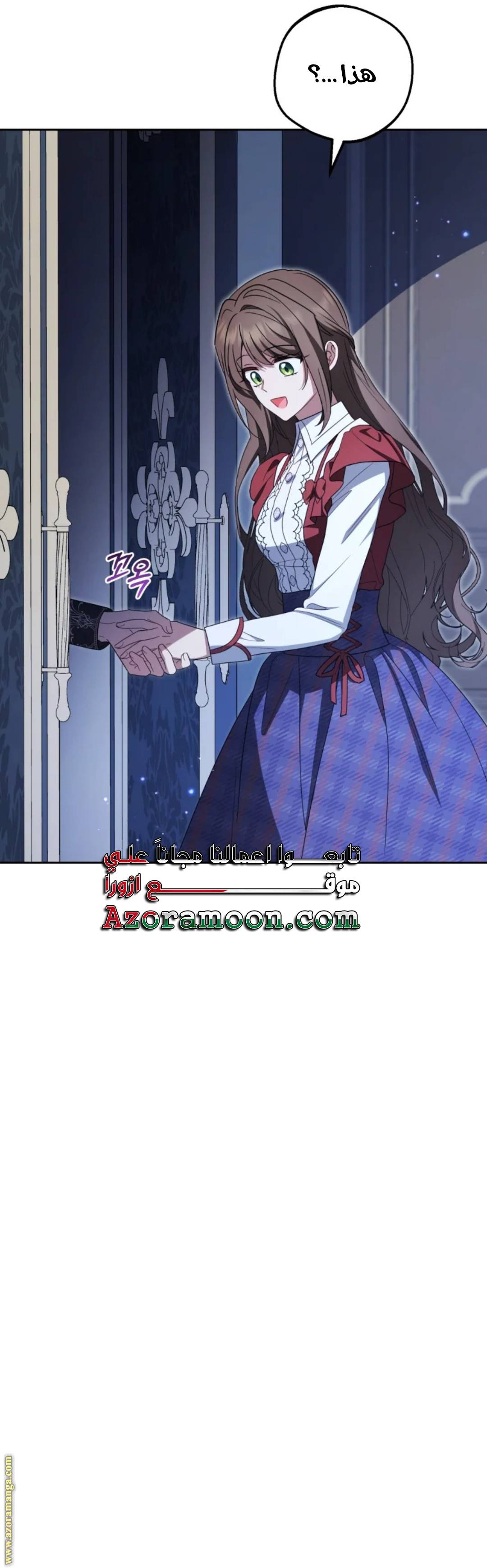 الصفحة 29
