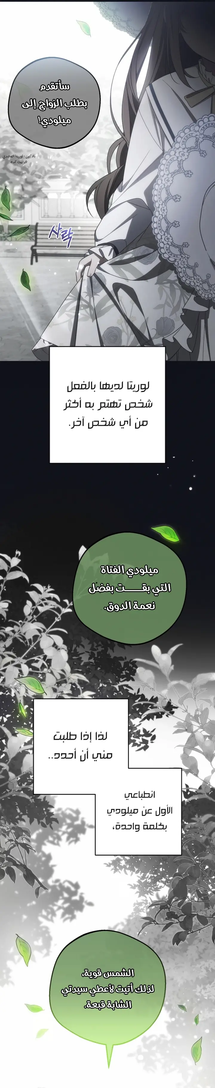 الصفحة 13
